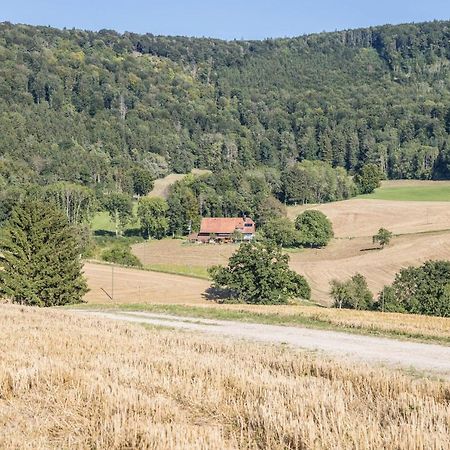 Der Lachenbuckhof Blumberg Extérieur photo